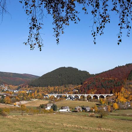 Ferienwohnung Zur Schoenen Aussicht-Rueters Parkhotel Willingen  Dış mekan fotoğraf