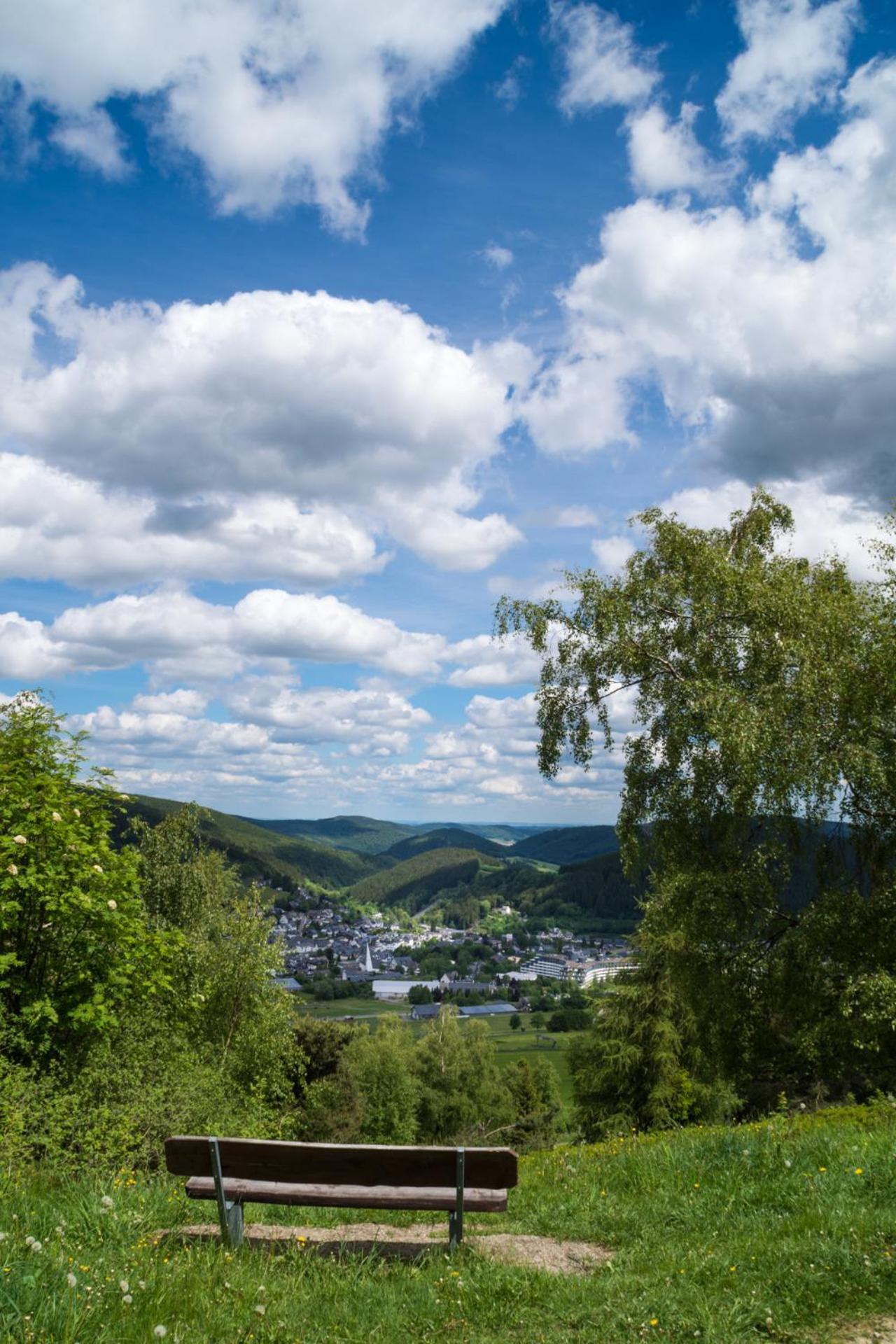 Ferienwohnung Zur Schoenen Aussicht-Rueters Parkhotel Willingen  Dış mekan fotoğraf
